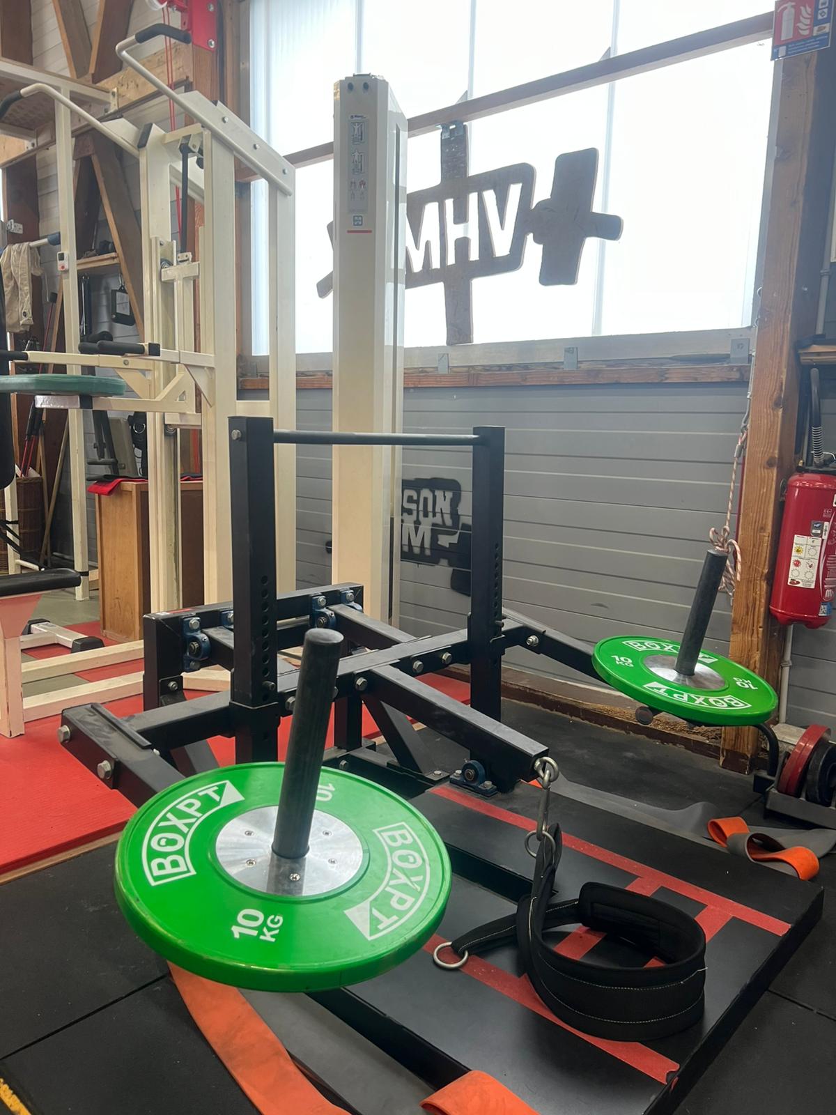 Belt Squat